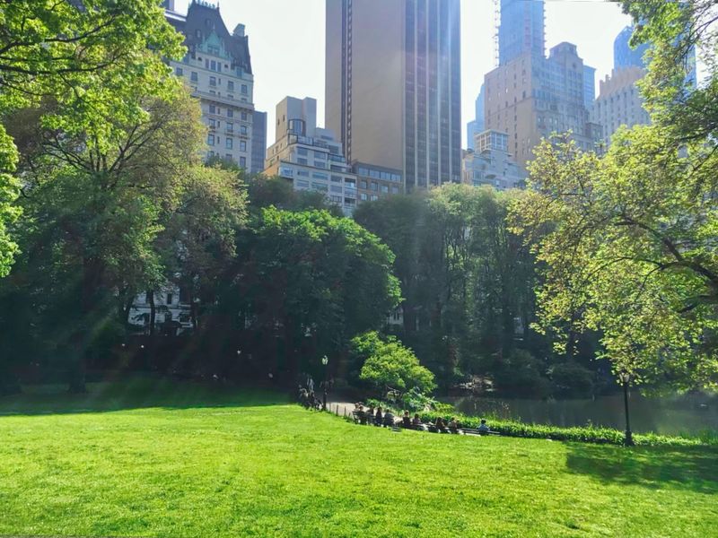 ニューヨークに広がる広大な観光名所 アメリカ セントラルパーク！