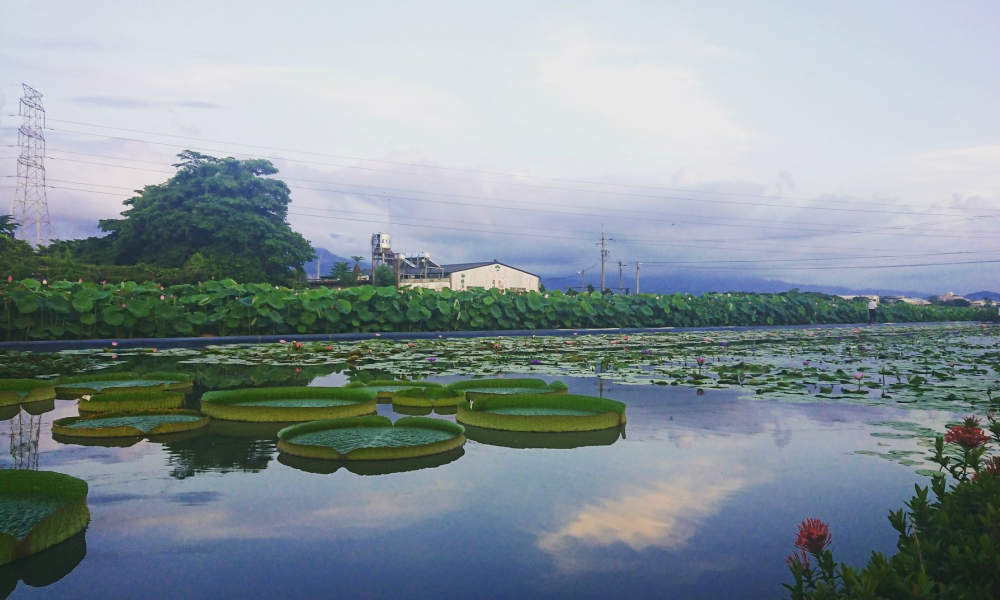 台南ってどんな都市