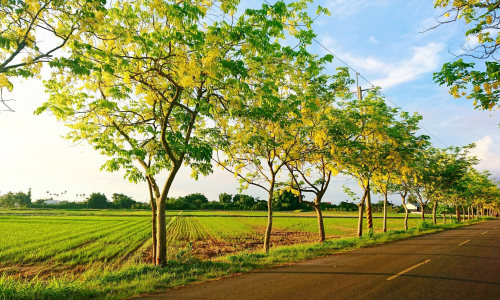 台南までのアクセス方法