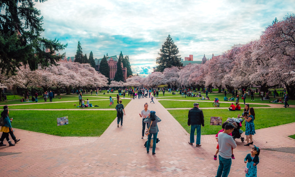 シアトルはどこ?町並みや有名なもの!
