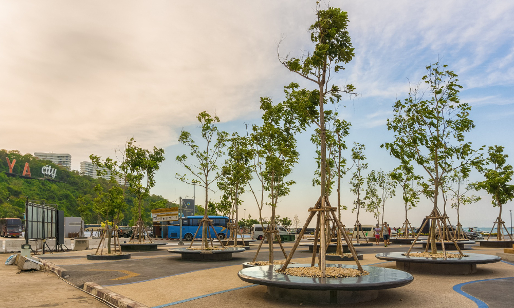 パタヤ旅行の防犯対策