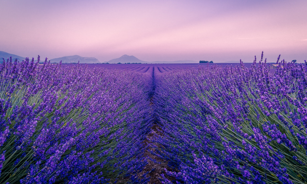 4.	グラースの気候とベストシーズン