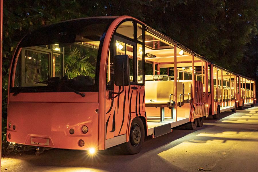 シンガポールのおすすめ観光スポット ナイトサファリ