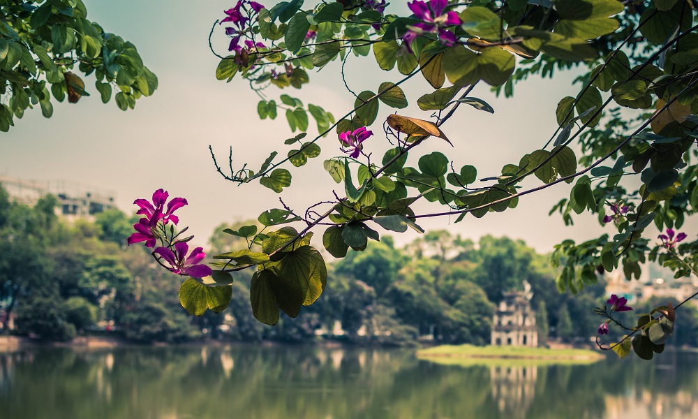 おすすめエリア1:ハノイ