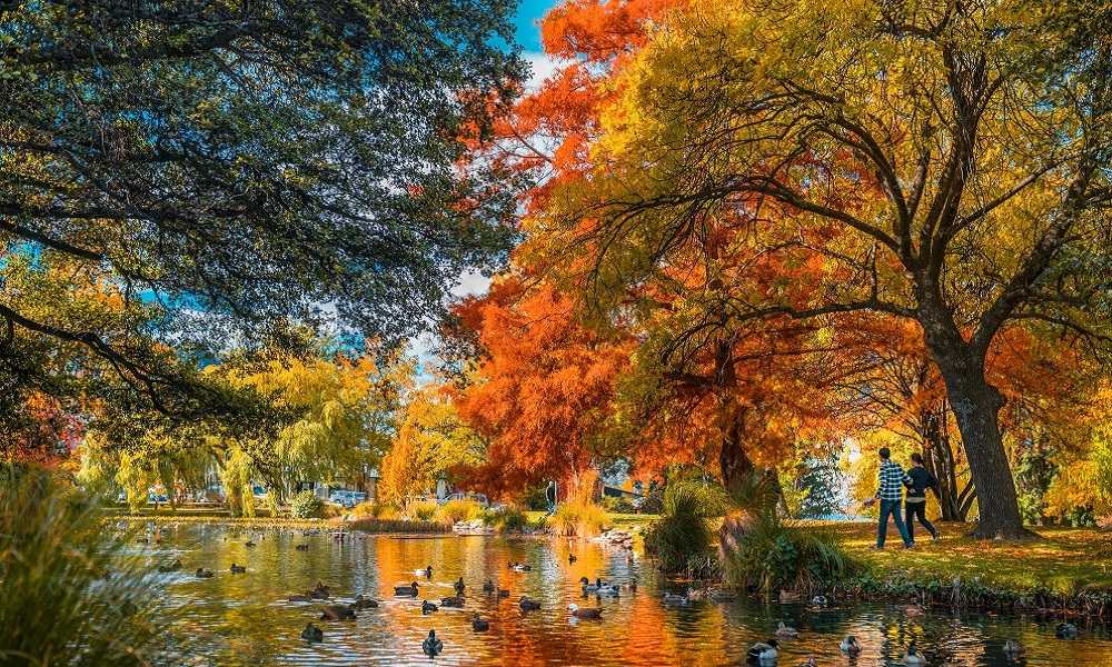 クイーンズタウンってどんなところ