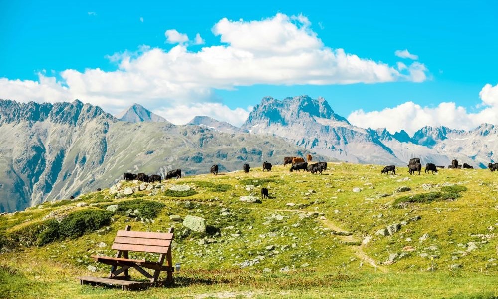 スイスの天気・気温・服装【エリアの特徴とベストシーズンを大解説】