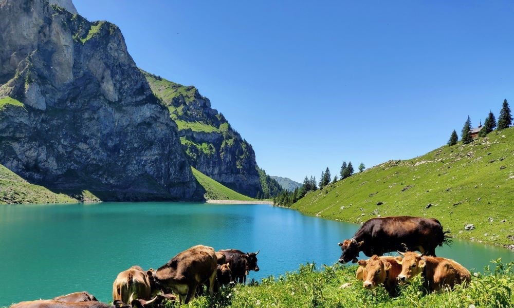 スイスの魅力的な主要都市