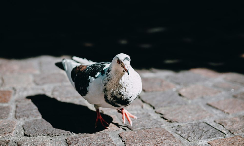 ジュネーブの季節ごとの服装